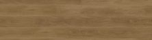 Republic North Water Rainforest Brown IS-RP-RENW7003
