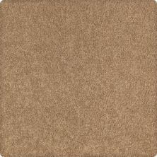 Soothing Obsession Lasting Luxury  Earthtone LL_2K75-9875