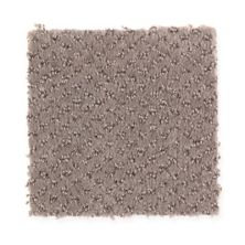 Little Secrets Lasting Luxury  Weathered Wood LL_2G64-855