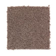 Little Secrets Lasting Luxury  Velvet Brown LL_2G64-873
