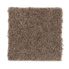 Concourse Village Lasting Luxury  Foxfire Suede LL_2J58-852