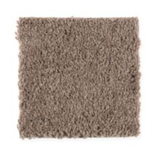 Concourse Village Lasting Luxury  Dried Peat LL_2J58-858
