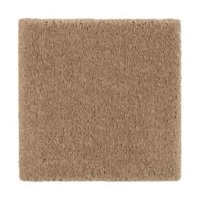 Windsor Gardens I Lasting Luxury  Glazed Ginger LL_2N36-504