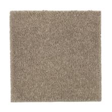 Windsor Gardens I Lasting Luxury  Mushroom Cap LL_2N36-519
