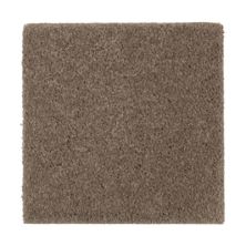 Windsor Gardens I Lasting Luxury  Pine Cone LL_2N36-520