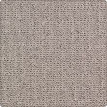 Timeless Treasure Lasting Luxury  Soft Smoke LL_2N90-9749