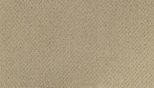 Modern Happenings Lasting Luxury  Antique Ivory LL_2N42-502