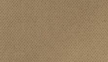 Modern Happenings Lasting Luxury  Maple Tint LL_2N42-503
