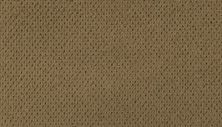 Modern Happenings Lasting Luxury  Brushed Suede LL_2N42-511