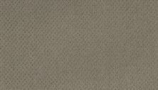 Modern Happenings Lasting Luxury  Mineral Grey LL_2N42-526