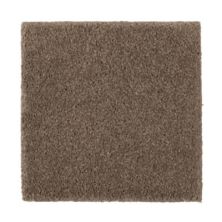 Windsor Gardens II Lasting Luxury  Nutmeg LL_2N37-512