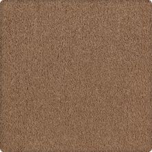 Lavish Affair Lasting Luxury  Nutmeg LL_2M05-9851