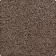 Lavish Affair Lasting Luxury  Brindle LL_2M05-9875