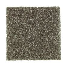Stonington Manor II Lasting Luxury  Pine Needle LL_2P01-540