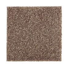 Stonington Manor II Lasting Luxury  Dried Peat LL_2P01-524