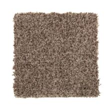 Neutral Shades II Lasting Luxury  Royal Pecan LL_2N89-858