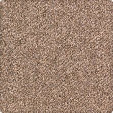 Pure Distinction Lasting Luxury  Allspice LL_2M82-9771