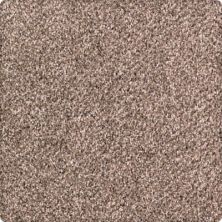 Pure Distinction Lasting Luxury  Winter Bark LL_2M82-9786