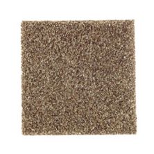 Carlisle Coast I Lasting Luxury  Dried Sage LL_2P18-547