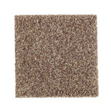Carlisle Coast II Lasting Luxury  Walnut Shell LL_2P19-548