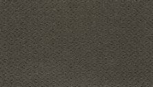 Elite Class Lasting Luxury  Shadow LL_2S52-513