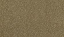 Amazing Scene Lasting Luxury  Light Maple LL_2S62-516