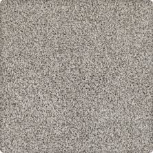 Dover Coast Lasting Luxury  Wintermoss LL_2R59-9520