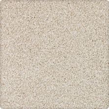 Dover Coast Lasting Luxury  Wild Silk LL_2R59-9709