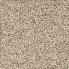 Dover Coast Lasting Luxury  Shadow Pearl LL_2R59-9729