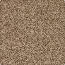Dover Coast Lasting Luxury  Tealeaf LL_2R59-9824