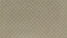 Everlasting Chic Lasting Luxury  Alpaca LL_2S92-505