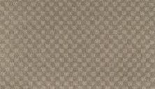 Everlasting Chic Lasting Luxury  Driftwood LL_2S92-516