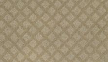 Attractive Luxury Lasting Luxury  Crumb Cookie LL_2S87-518