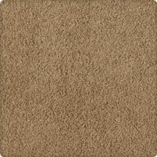 Soft Inspiration Lasting Luxury  Flaxen Air LL_2T07-9783