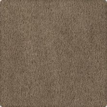 Soft Inspiration Lasting Luxury  Rustic Splendor LL_2T07-9839