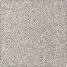Soft Inspiration Lasting Luxury  Grey Wisp LL_2T07-9917