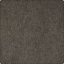 Soft Inspiration Lasting Luxury  Raven LL_2T07-9971