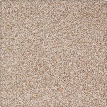 Serene Scene Lasting Luxury  Sandstone LL_2U37-9741