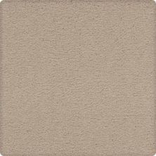 Craftsman Charm Lasting Luxury  Atrium LL_2V32-9703