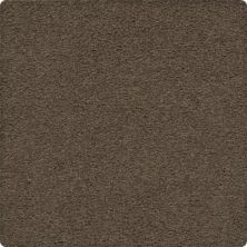 Craftsman Charm Lasting Luxury  Eagle Rock LL_2V32-9799