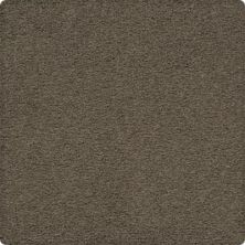 Craftsman Charm Lasting Luxury  Shadywood LL_2V32-9839