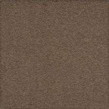 Craftsman Charm Lasting Luxury  Steeple LL_2V32-9840
