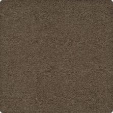 Craftsman Charm Lasting Luxury  Tapestry LL_2V32-9850