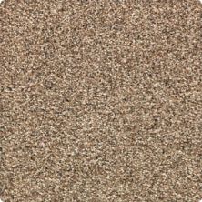 Rustic Appeal Lasting Luxury  Renoir Bisque LL_2U57-9741