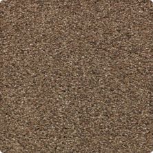 Rustic Appeal Lasting Luxury  Toasted Seed LL_2U57-9771