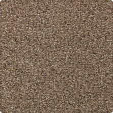 Rustic Appeal Lasting Luxury  Bashful Taupe LL_2U57-9776