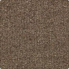 Rustic Appeal Lasting Luxury  Aged Walnut LL_2U57-9789