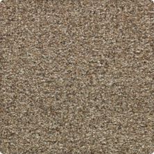 Rustic Appeal Lasting Luxury  Ironstone LL_2U57-9916