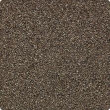Rustic Appeal Lasting Luxury  Polished Ebony LL_2U57-9957