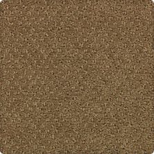 Tudor Square Lasting Luxury  Mossy Gold LL_2U98-9791